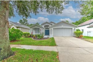 15543 MARTINMEADOW DRIVE, LITHIA, FL 33547 Sold 02/03/25