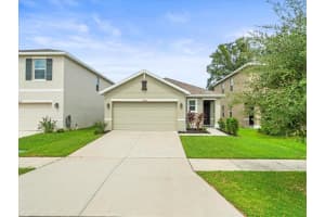 10835 TRAILING VINE DRIVE, TAMPA, FL 33610 Sold 12/10/24