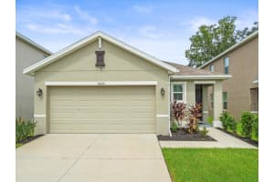 10835 TRAILING VINE DRIVE, TAMPA, FL 33610 Sold 12/10/24