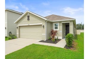 10835 TRAILING VINE DRIVE, TAMPA, FL 33610 Sold 12/10/24