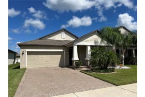 13240 Satin Lily Dr, RIVERVIEW