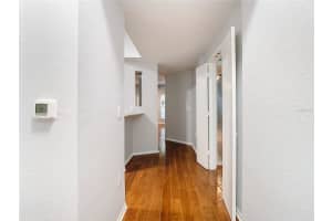 501 MOODY AVENUE, TAMPA, FL 33609 Sold 11/15/24
