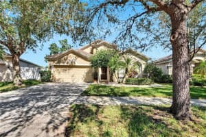 11335 FLORA SPRINGS DRIVE, RIVERVIEW, FL 33579 Sold 03/24/25
