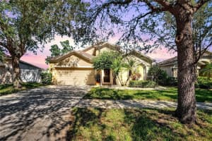 11335 FLORA SPRINGS DRIVE, RIVERVIEW, FL 33579 Sold 03/24/25