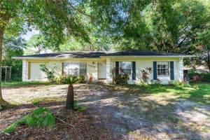 30929 ELOIAN DRIVE, WESLEY CHAPEL, FL 33545 Sold 03/14/25