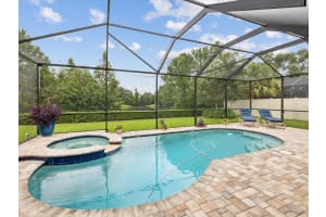 3607 ARBOR CHASE DRIVE, PALM HARBOR, FL 34683 Sold 01/17/25