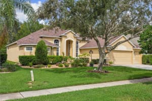 27127 FORDHAM DRIVE, WESLEY CHAPEL, FL 33544 Sold 05/02/25