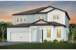 13810 Sunlight Meadow Dr, RIVERVIEW
