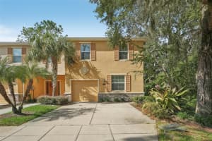 13926 SNAPPER FIN LANE, TAMPA, FL 33637 Sold 11/15/24