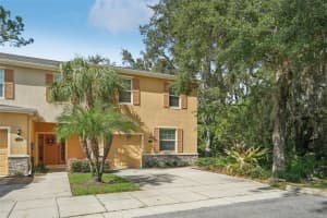 13926 SNAPPER FIN LANE, TAMPA, FL 33637 Sold 11/15/24