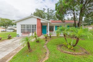 6515 Los Altos Way, TAMPA