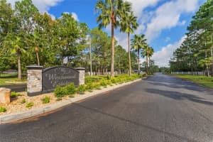 8548 SPRING FOREST LANE, WESLEY CHAPEL, FL 33544 Sold 05/06/25