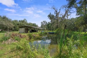 39912 JERRY ROAD, ZEPHYRHILLS, FL 33540 Sold 11/27/24