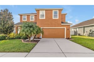 14244 ALISTAR MANOR DRIVE, WIMAUMA, FL 33598 Sold 01/30/25