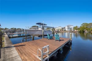 229 TALLAHASSEE DRIVE, SAINT PETERSBURG, FL 33702 Sold 03/07/25