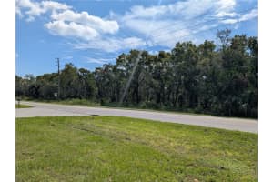00000 NEW YORK AVENUE, HUDSON, FL 34667 Sold 09/25/25