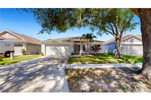 12505 HERONS PATH PLACE, RIVERVIEW, FL 33578 Sold 11/20/24
