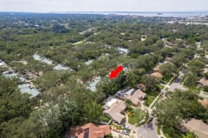 1500 MAHOGANY LANE, PALM HARBOR, FL 34683 - MLS#MFRTB8309737