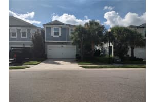 1107 MANGO COURT, OLDSMAR, FL 34677 Sold 11/06/24