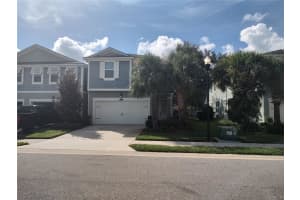 1107 MANGO COURT, OLDSMAR, FL 34677 Sold 11/06/24