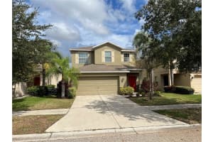 2126 RICHWOOD PIKE DRIVE, RUSKIN, FL 33570 - MLS#MFRTB8309792