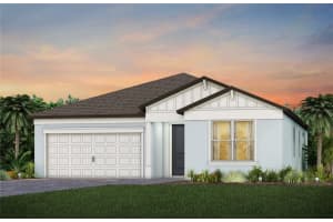 13719 Brookside Haven St, RIVERVIEW