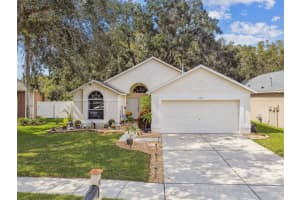 3921 BRILEY LOOP, LAND O LAKES, FL 34638 Sold 04/21/25