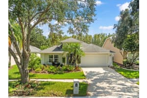 18809 RUE LOIRE, LUTZ, FL 33558 Sold 03/06/25