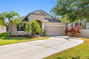 8003 WHITETAIL DEER WAY, TAMPA, FL 33635 Sold 01/03/25