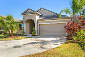8003 WHITETAIL DEER WAY, TAMPA, FL 33635 Sold 01/03/25
