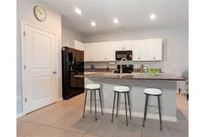 8762 FALLING BLUE PLACE, RIVERVIEW, FL 33578 Sold 03/04/25