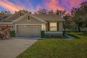 656 Spring Lake Cir W, TARPON SPRINGS