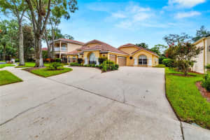 13506 WESTSHIRE DRIVE, TAMPA, FL 33618 Sold 11/28/24