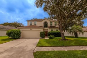 8303 TORRINGTON AVENUE, TAMPA, FL 33647 Sold 03/28/25