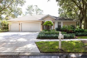 8706 ASHWORTH DRIVE, TAMPA, FL 33647 Sold 01/21/25