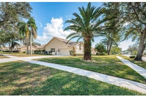 3371 LAKE SHORE LANE, CLEARWATER, FL 33761 Sold 12/31/24