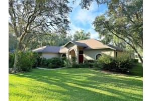 163 LIBERTY STREET, HERNANDO, FL 34442 Sold 04/01/25