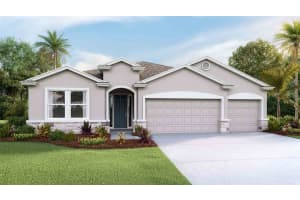 19843 MAGNOLIA SPRINGS WAY, LAND O LAKES, FL 34638 Sold 02/21/25