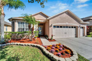 31415 BRIDGEGATE DRIVE, WESLEY CHAPEL, FL 33545 Sold 05/02/25