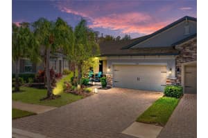 19343 HAWK VALLEY DRIVE, TAMPA, FL 33647 Sold 03/28/25