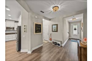 19343 HAWK VALLEY DRIVE, TAMPA, FL 33647 Sold 03/28/25