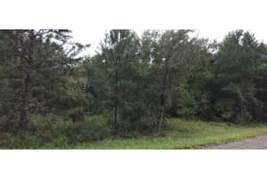 902 NOAH LANE, DUNNELLON, FL 34434 Sold 12/02/24