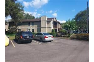 14219 SHADOW MOSS LANE, TAMPA, FL 33613 Sold 03/21/25