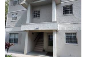 14430 Reuter Strasse Cir #906, TAMPA