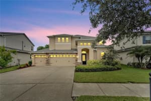 20123 OAKFLOWER AVENUE, TAMPA, FL 33647 Sold 03/18/25