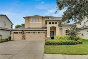 20123 OAKFLOWER AVENUE, TAMPA, FL 33647 Sold 03/18/25