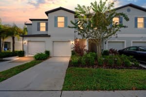 4447 GLOBE THISTLE DRIVE, TAMPA, FL 33619 Sold 02/24/25