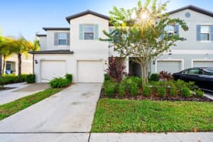4447 GLOBE THISTLE DRIVE, TAMPA, FL 33619 Sold 02/24/25