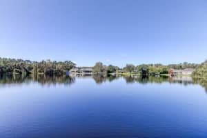 921 NEWBERGER ROAD, LUTZ, FL 33549 Sold 05/30/25