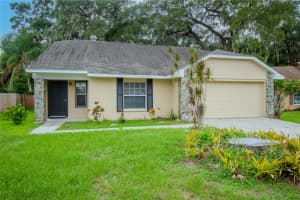 2039 SHADOW PINE DRIVE, BRANDON, FL 33511 Sold 03/28/25